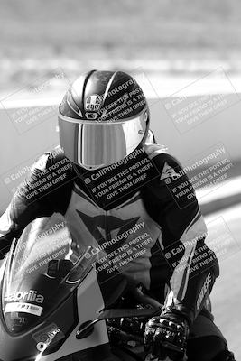 media/Mar-08-2025-TrackXperience (Sat) [[277b597a28]]/1-Around the Pits - Pre Grid/